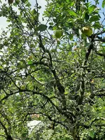 20210823_134724.webp