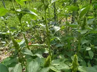 IMG_20210822_105413 - Kopie.webp