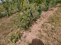 IMG_20210822_105806 - Kopie.webp