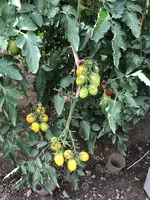 IMG_0301.JPG