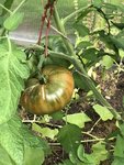 IMG_0303.JPG