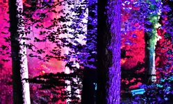lchtr42 (1).webp