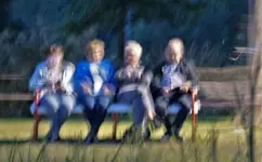 lchtr42 (4).webp