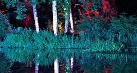 lchtr42 (6).webp