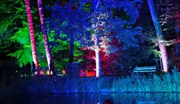 lchtr42 (7).webp