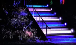 lchtr42 (8).webp