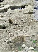 IMG_20210816_135951_1.webp