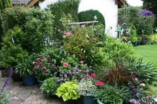 Terasse     0821.webp