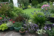 Terasse     0921.webp