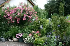 Terasse    1720.webp