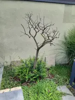 20210824_125617.webp