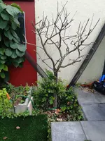 20210824_125605.webp