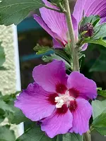 475D5258-AB6A-472D-B71C-BBBB6210196A_1_201_a.webp