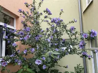 AB395D2E-6E39-478F-B6F3-E622C6561EB2_1_201_a.webp