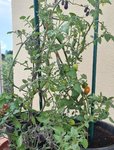 20210824_161711.jpg