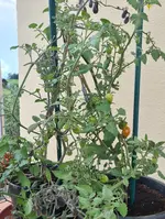 20210824_161711.webp