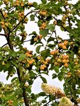IMG_20210823_195239_1.jpg