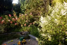 DSCN3567.webp DSCN3567.webp