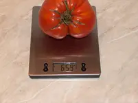 HPIM4293[1].webp