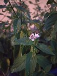 IMG_20210825_204716.jpg