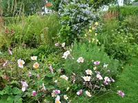 DSCF5013 (2).webp