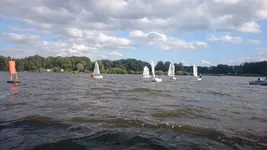 DSC_1251 (4).JPG