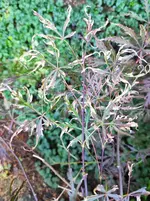 IMG_20210826_112511.webp