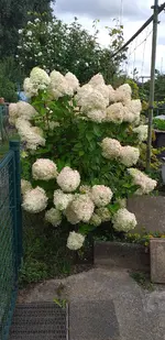 20210827_144541.webp 20210827_144541.webp