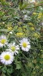 IMG_8935.JPG