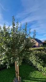 20210827_180116.webp