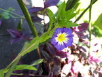 20210825_134536.jpg