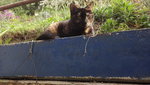 DSCF2727.JPG