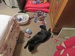 IMG_3310 v (2).JPG