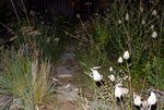 DSCN3620.JPG