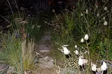 DSCN3620.webp