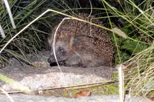 DSCN3622.webp