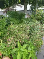 20210712_160413.webp