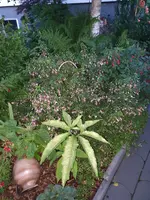 20210714_214237.webp