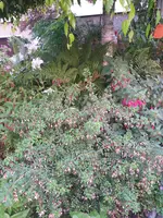 20210803_204615.webp