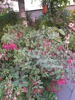 20210803_204619.webp