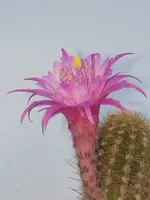20210609_181143.webp