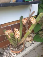 20210707_174435.webp