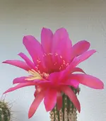 20210707_185718.webp