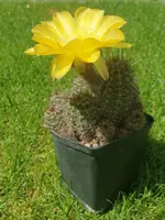 20210712_184507.webp