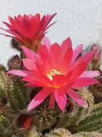 20210618_101608.webp