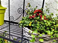 IMG_20210522_124513.webp