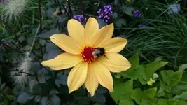 1536684114024.webp