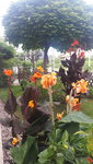 20210827_173459.jpg