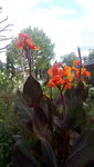 20210827_173426.jpg