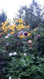 20210827_201036.webp
